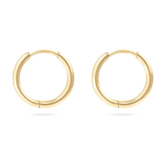 Brooklyn Snug Earrings